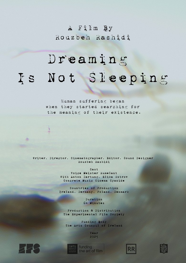 Poster of Dreaming Is Not Sleeping