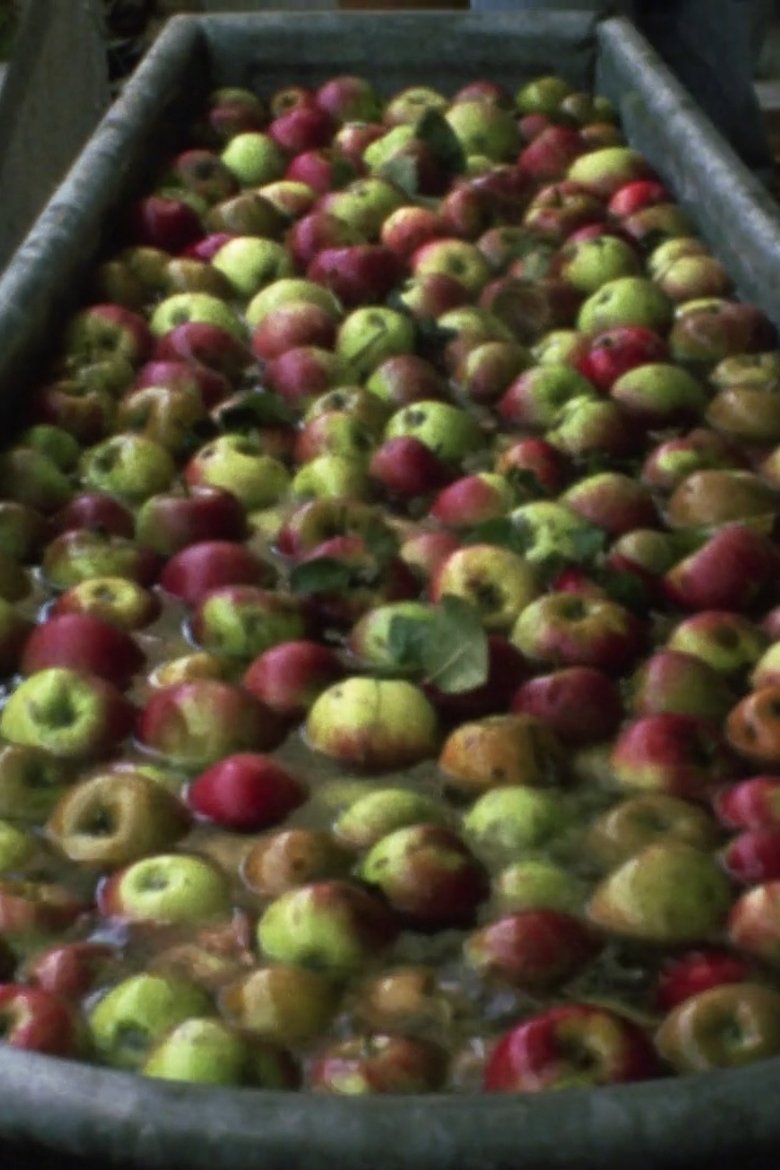 Poster of Making Apple Juice