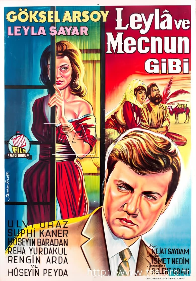 Poster of Leyla İle Mecnun Gibi