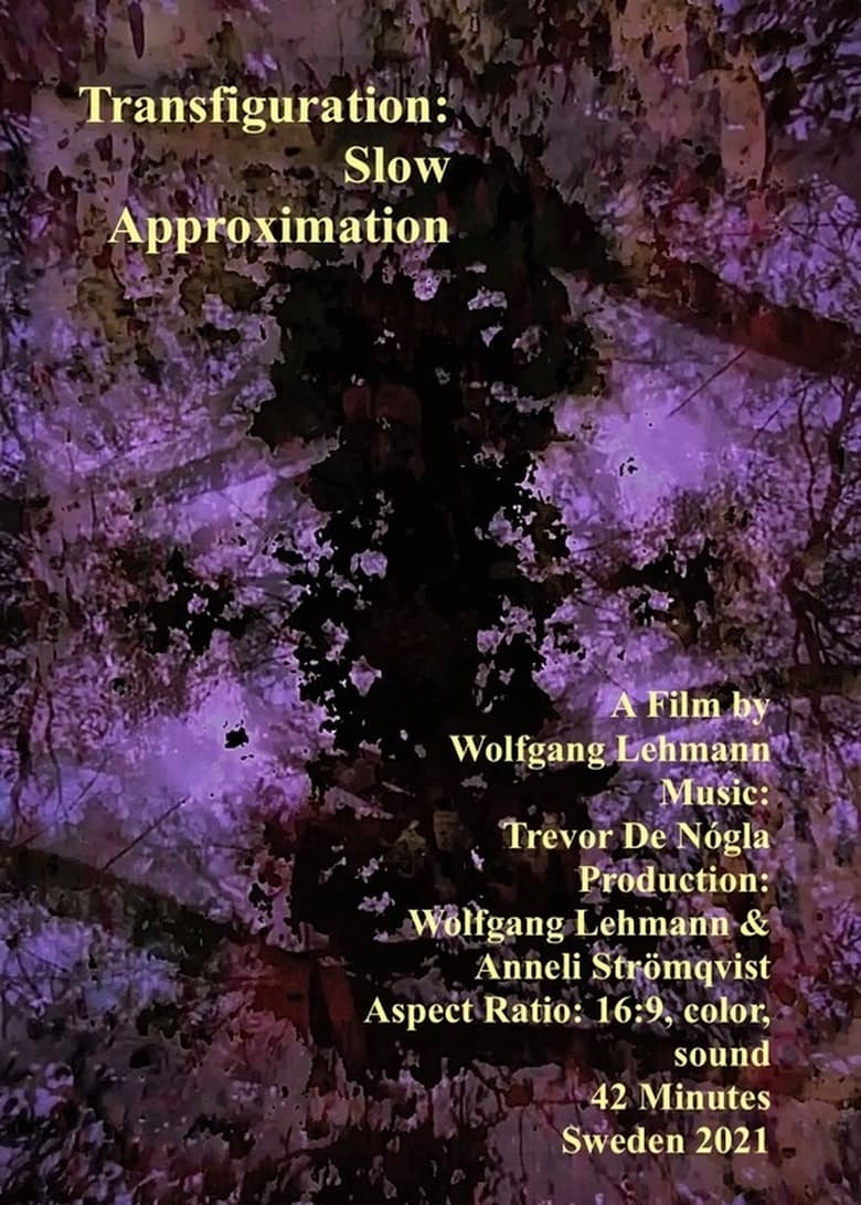 Poster of Transfiguration: Slow Approximation