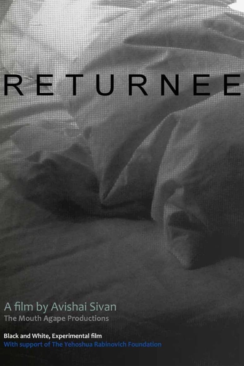 Poster of Returnee