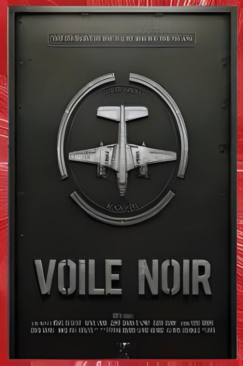 Poster of Voile Noir