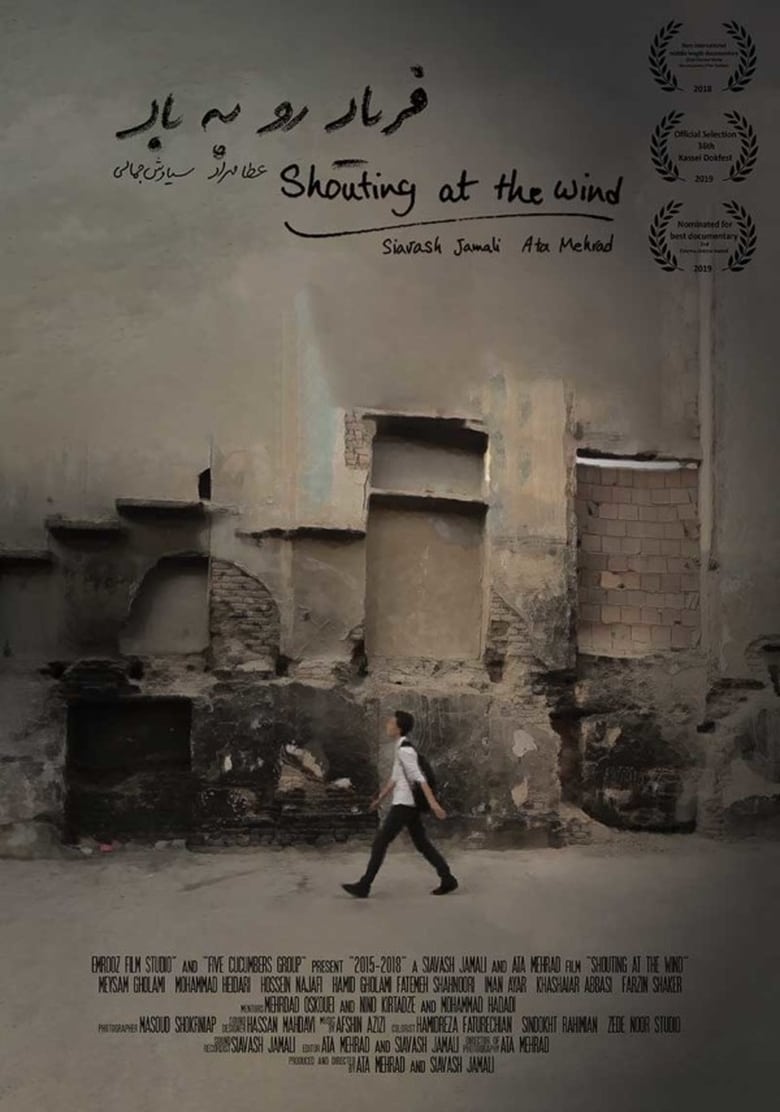 Poster of Shouting at the Wind