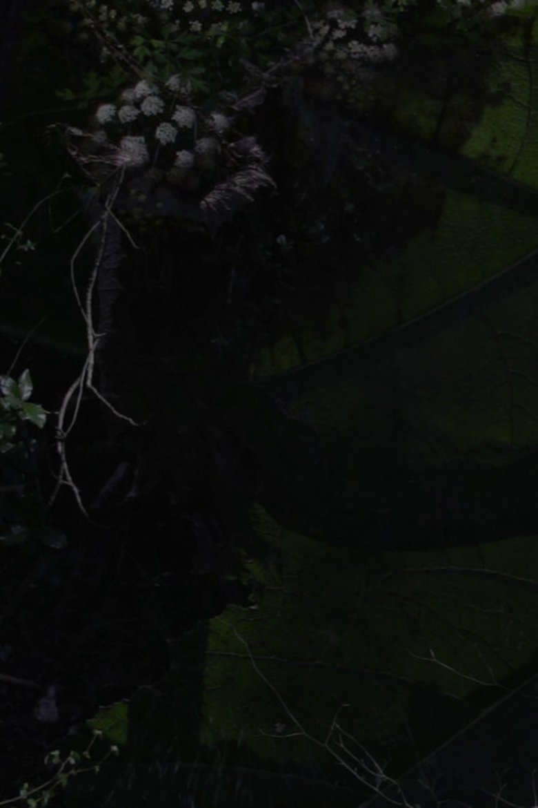 Poster of Lost Gardens