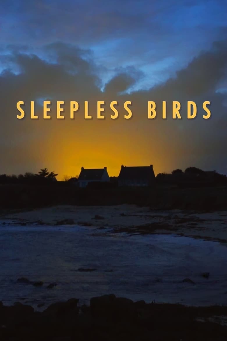 Poster of Sleepless Birds