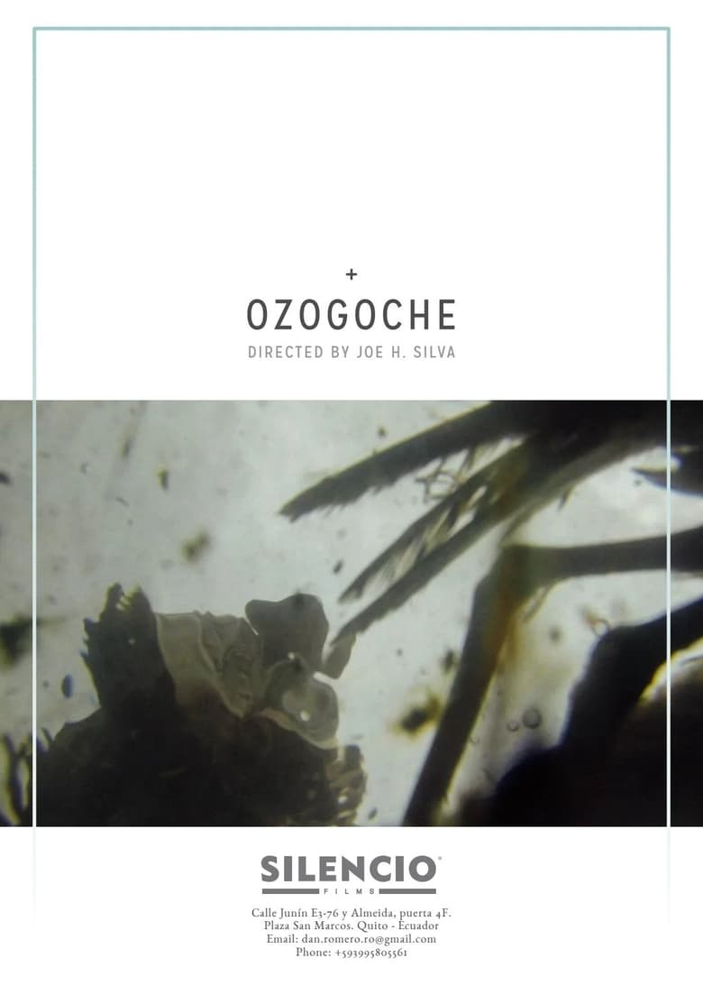 Poster of Ozogoche