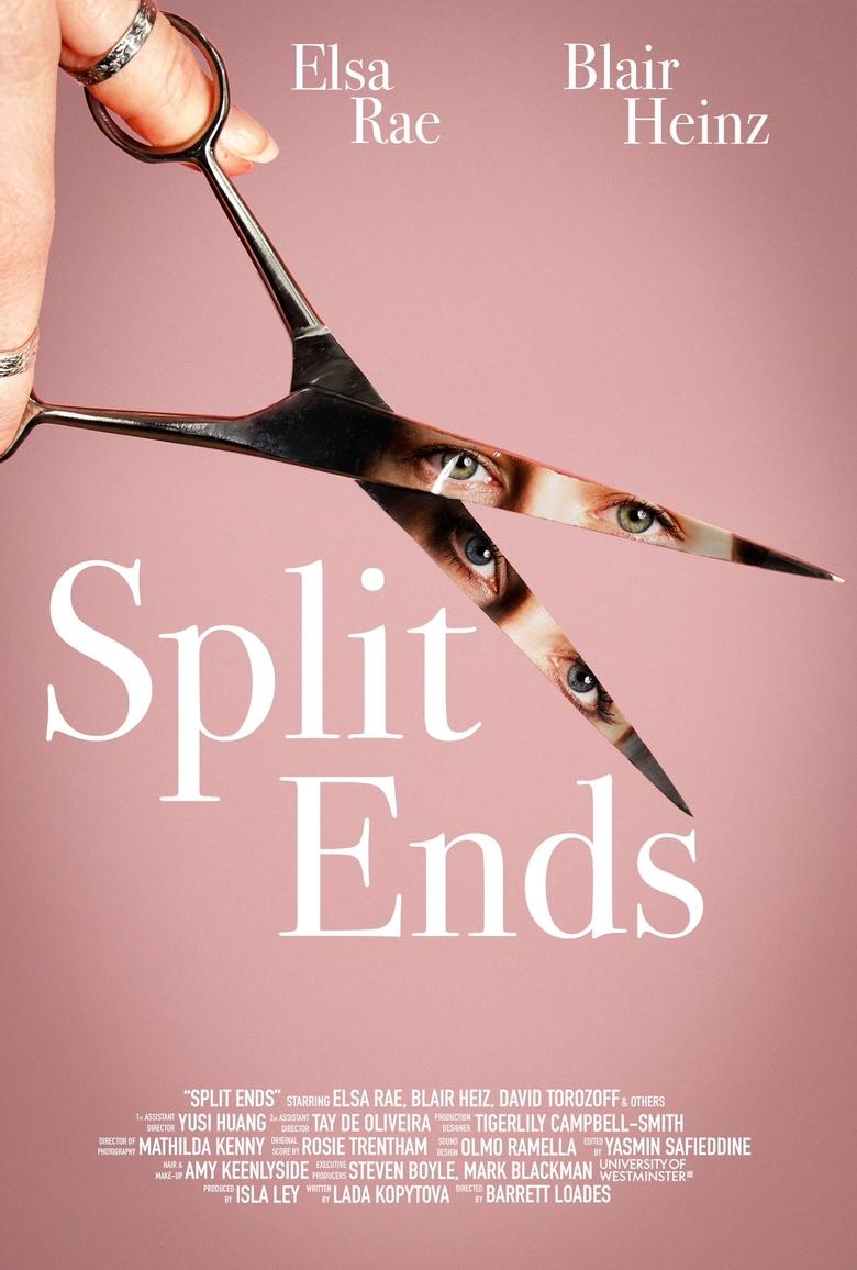 Poster of Split Ends