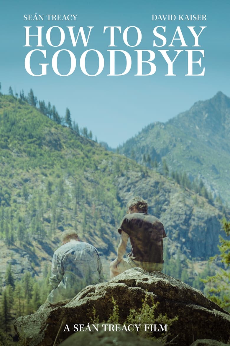 Poster of How To Say Goodbye