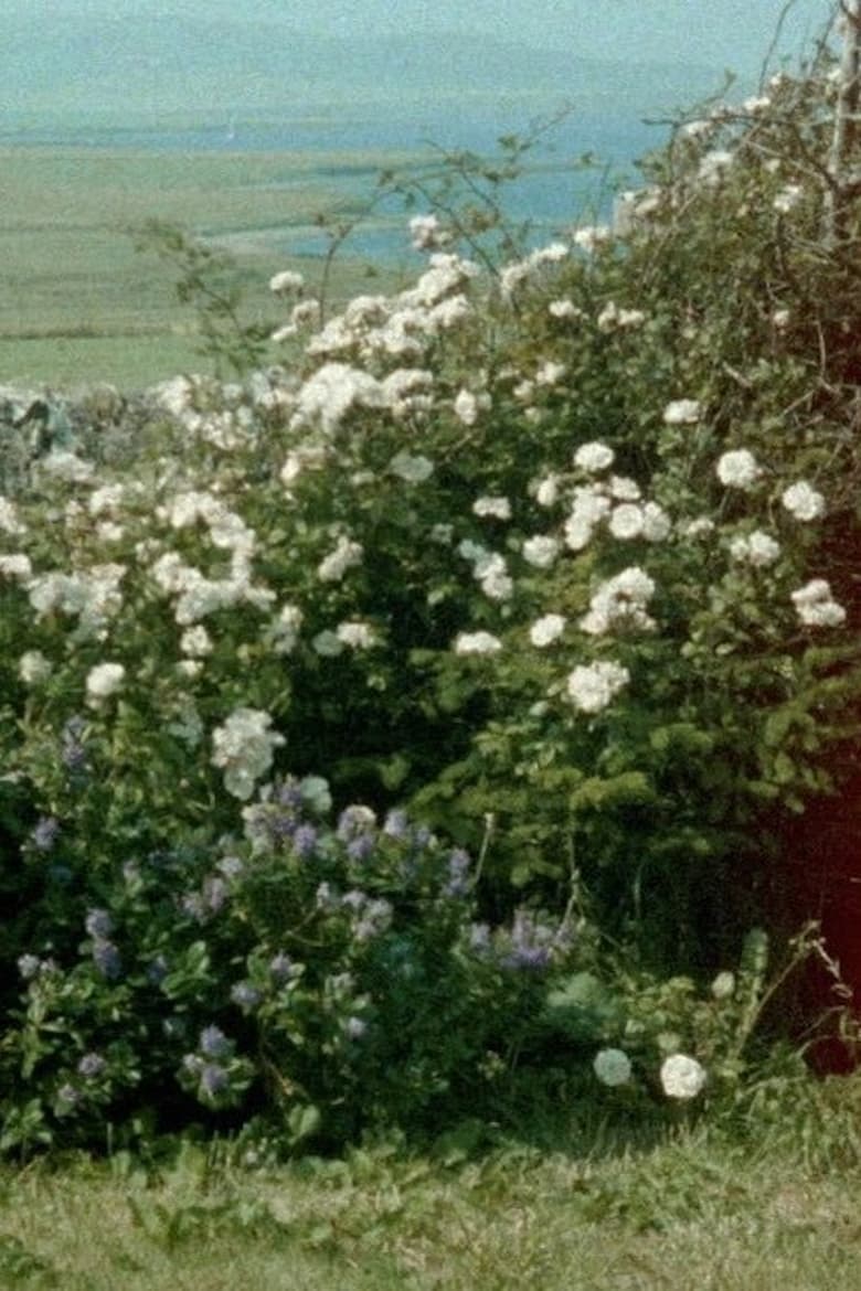 Poster of Glimpses from a Visit to Orkney in Summer 1995