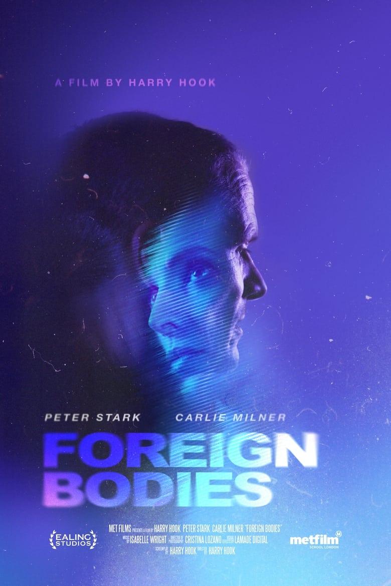 Poster of Foreign Bodies