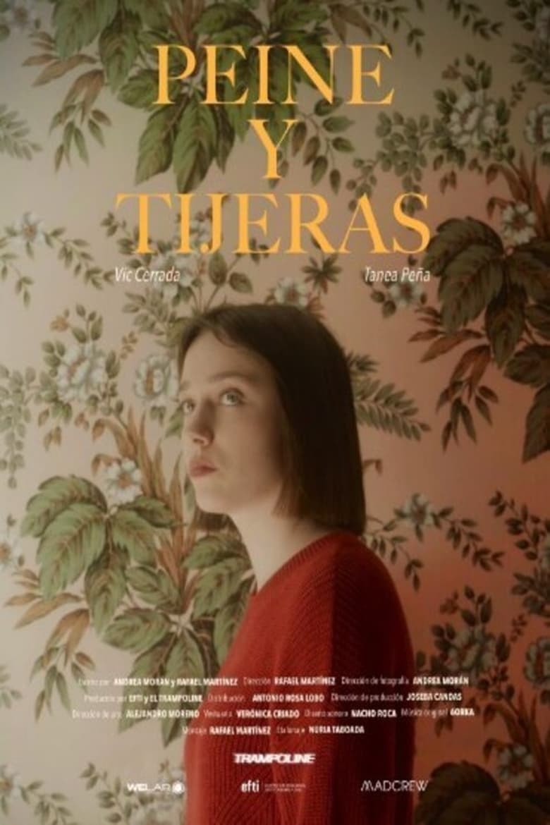 Poster of Peine y Tijeras