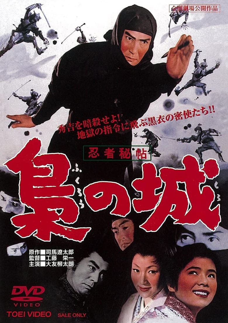 Poster of Castle of Owls