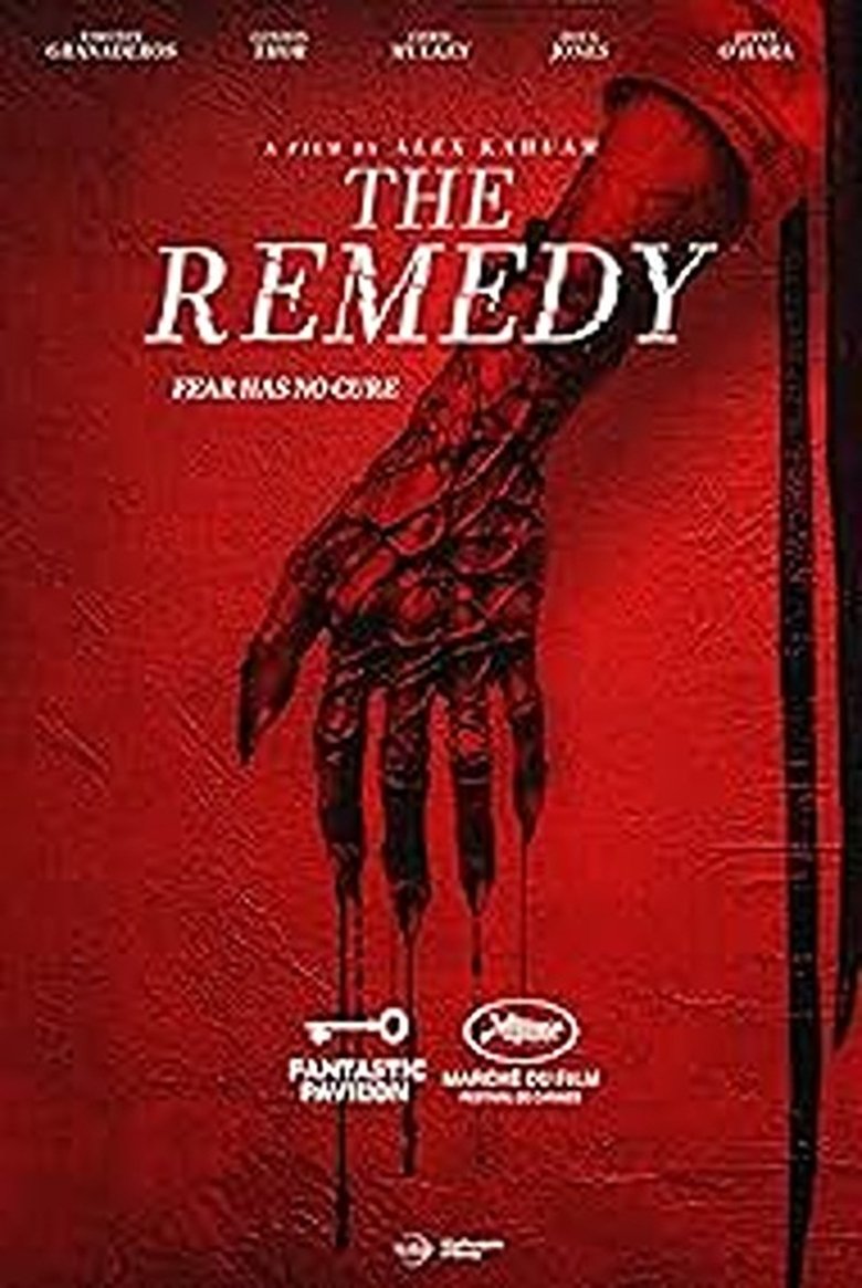 Poster of The Remedy