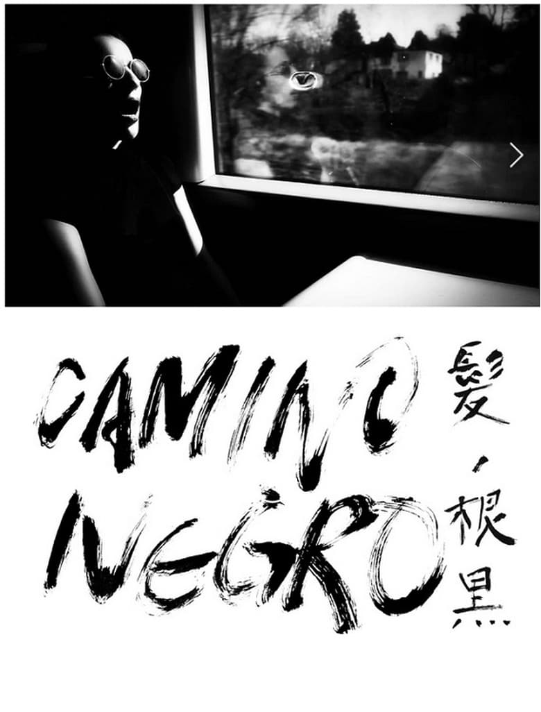 Poster of Camino Negro