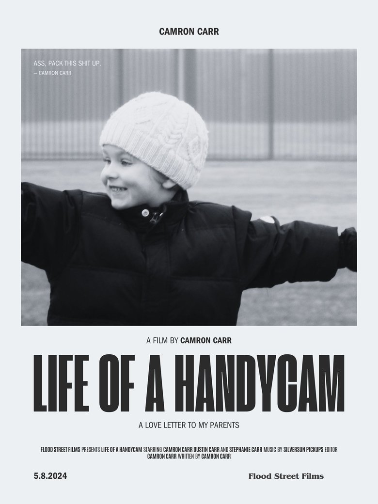 Poster of The Life of a Handycam