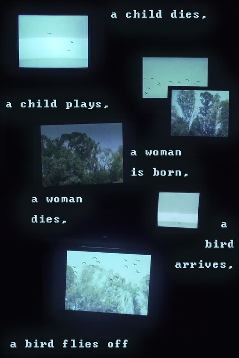 Poster of A child dies, a child plays, a woman is born, a woman dies, a bird arrives, a bird flies off