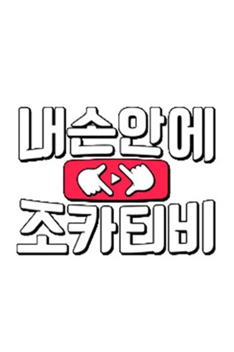 Poster of 내 손안에 조카티비