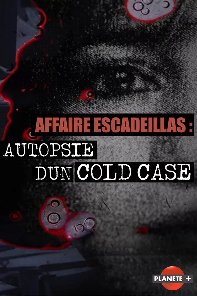 Poster of Affaire Escadeillas : autopsie d'un cold-case