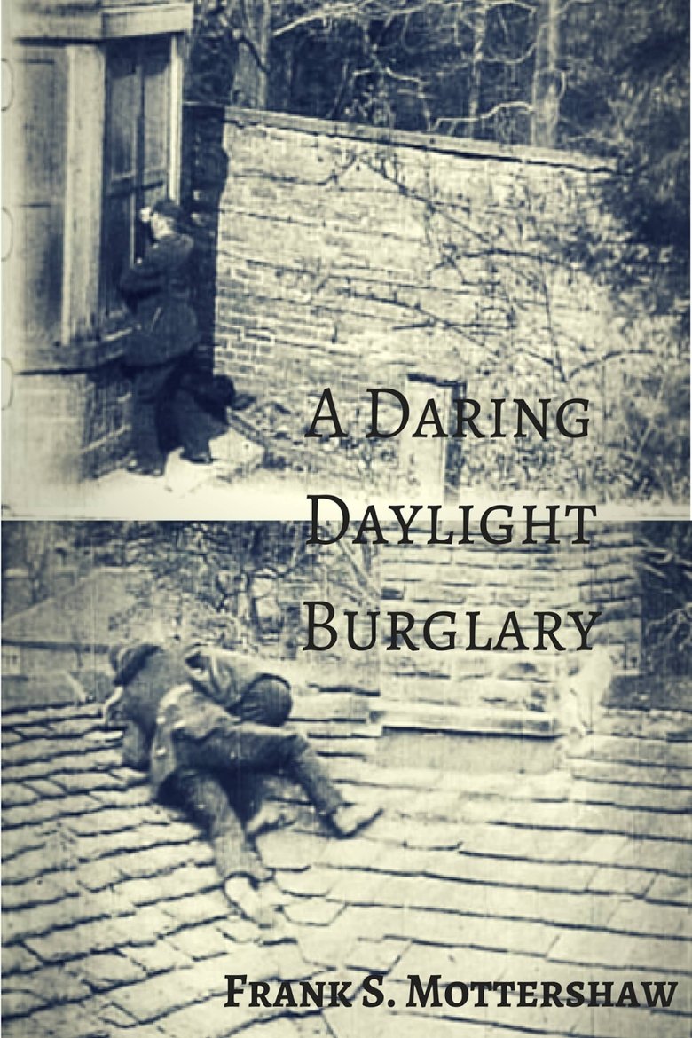 Poster of A Daring Daylight Burglary