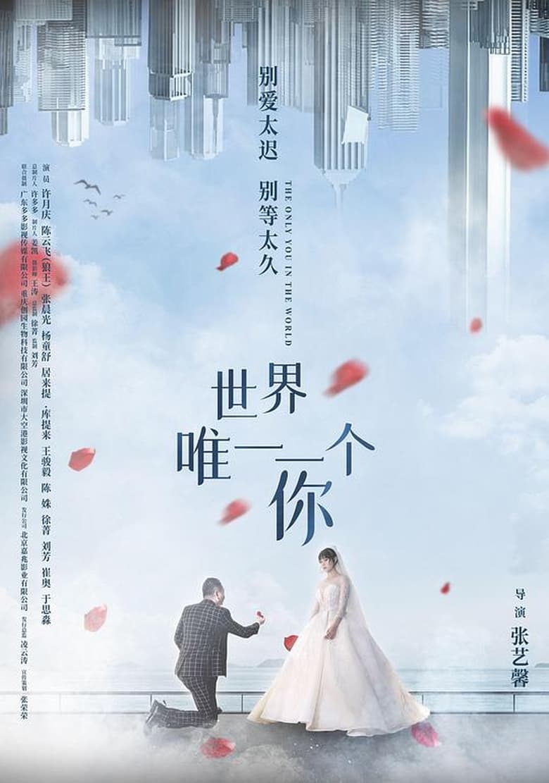 Poster of Only You