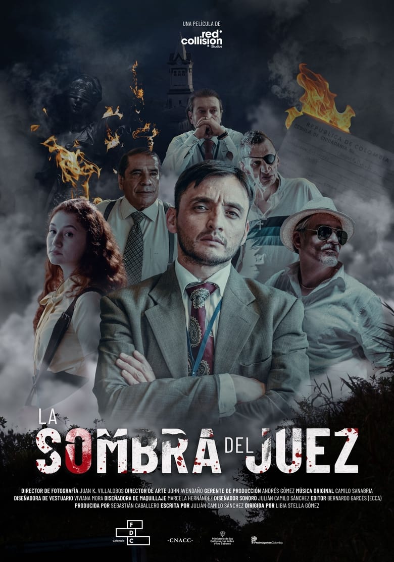 Poster of The Judge's Shadow