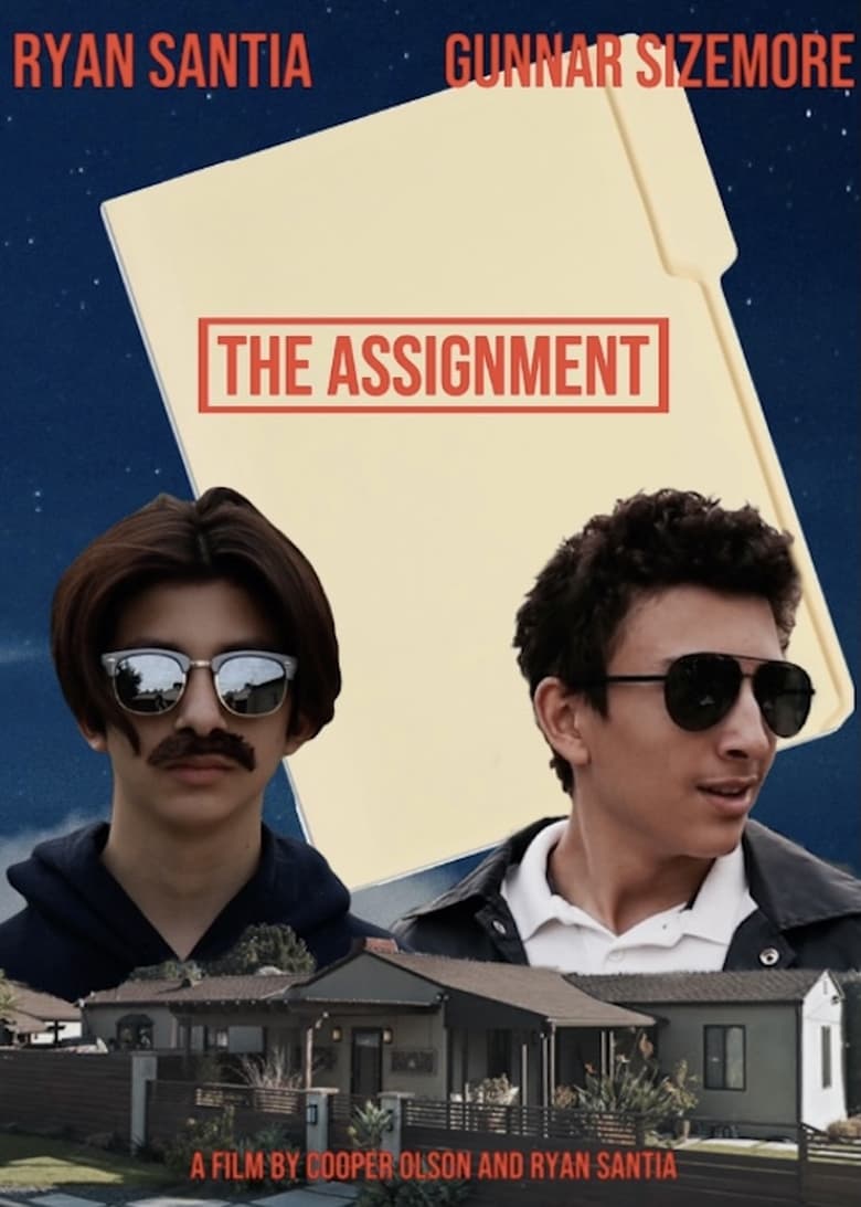 Poster of The Assignment