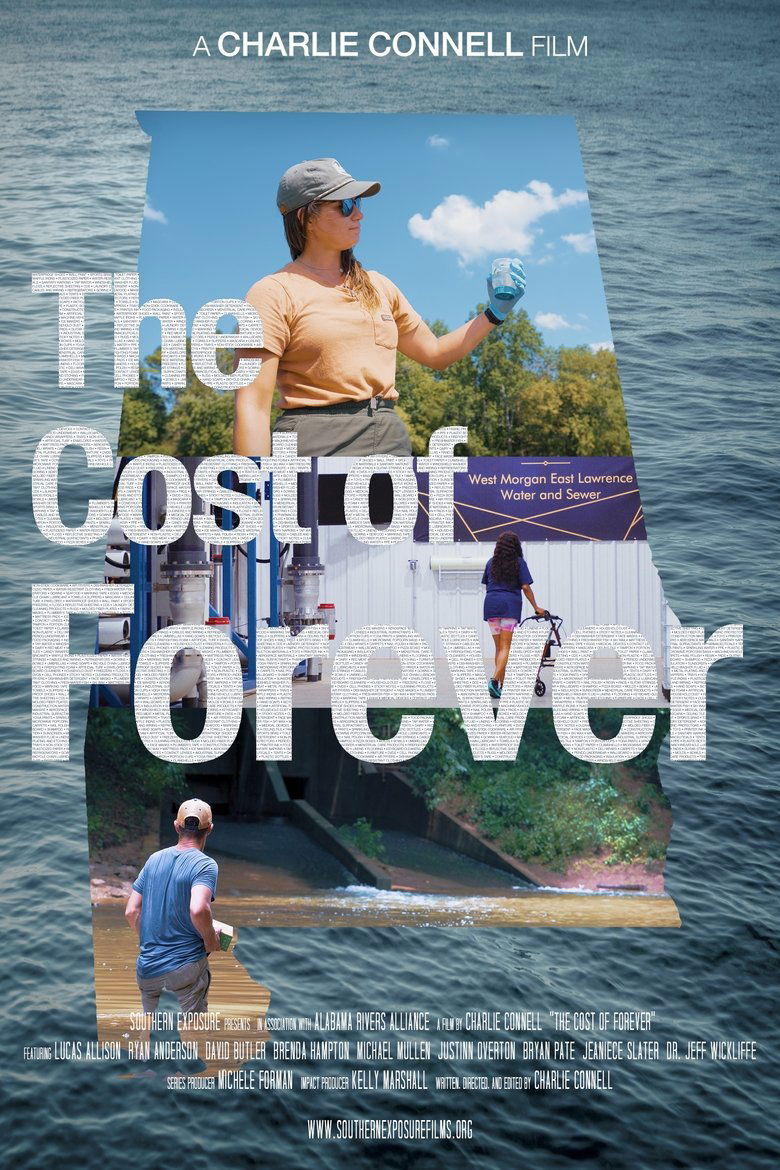 Poster of The Cost of Forever