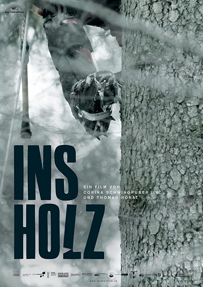 Poster of In the Woods