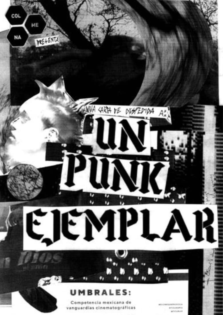 Poster of An Exemplary Punk