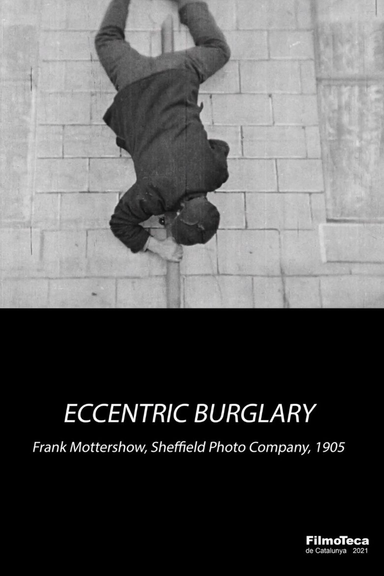 Poster of An Eccentric Burglary