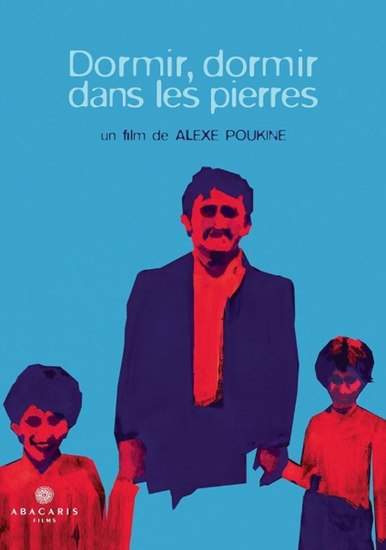 Poster of Dormir, dormir dans les pierres