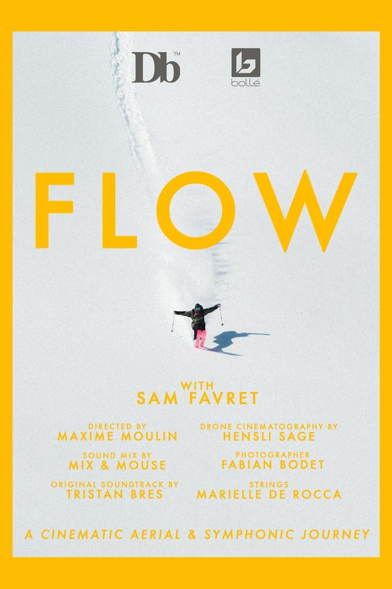 Poster of FLOW