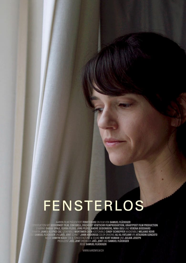 Poster of Fensterlos