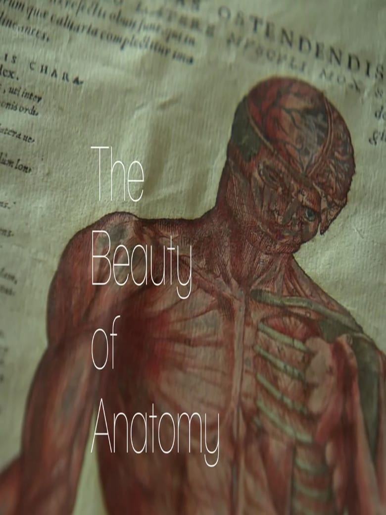 Poster of Episodes in The Beauty Of Anatomy - Season 1 - Season 1