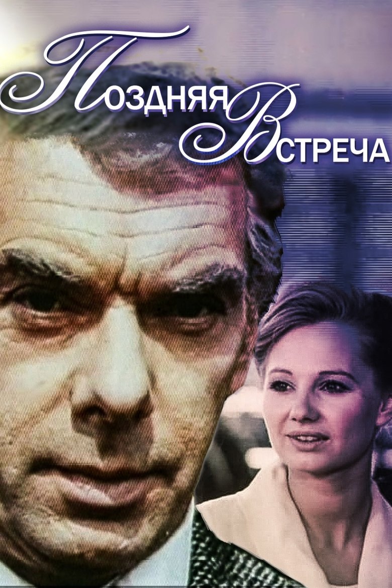 Poster of Late Meeting