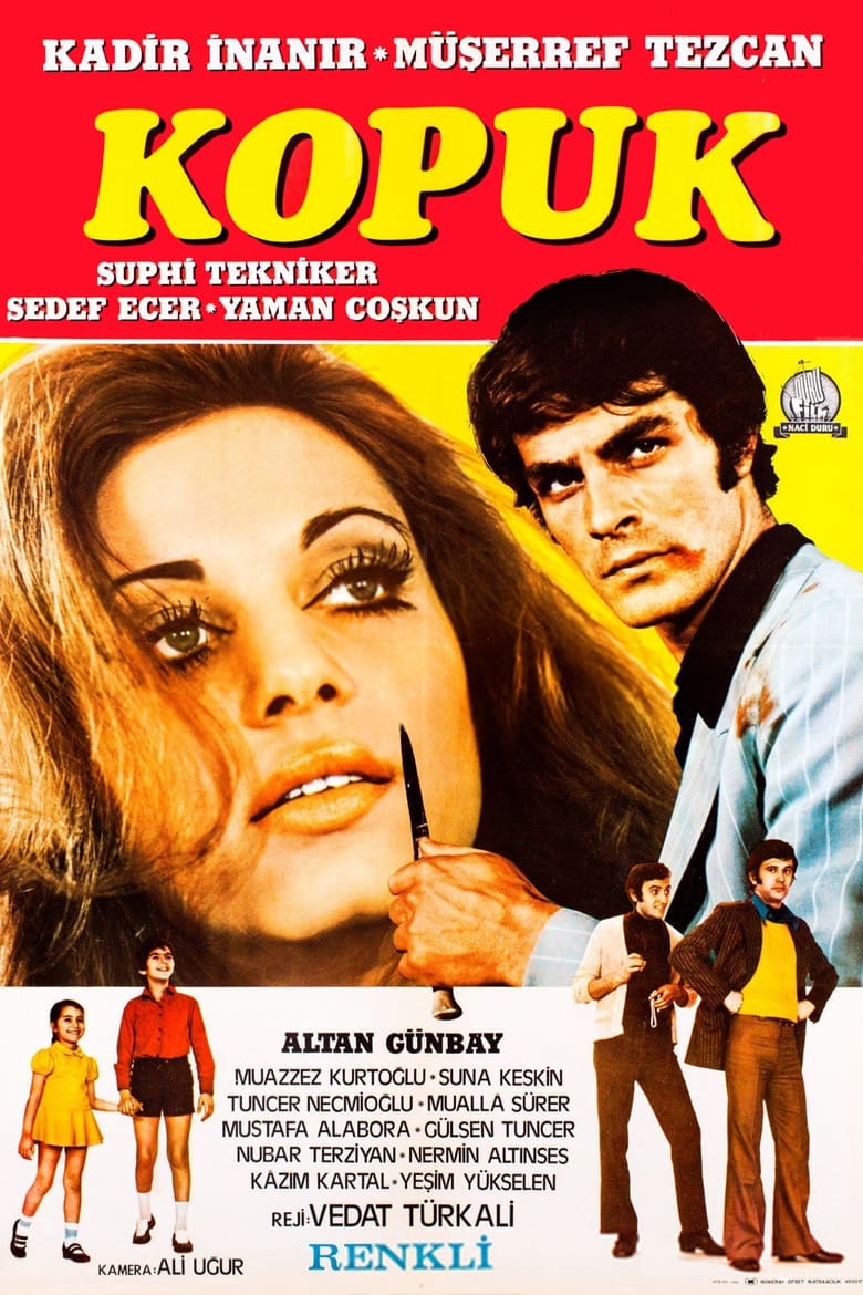 Poster of Kopuk