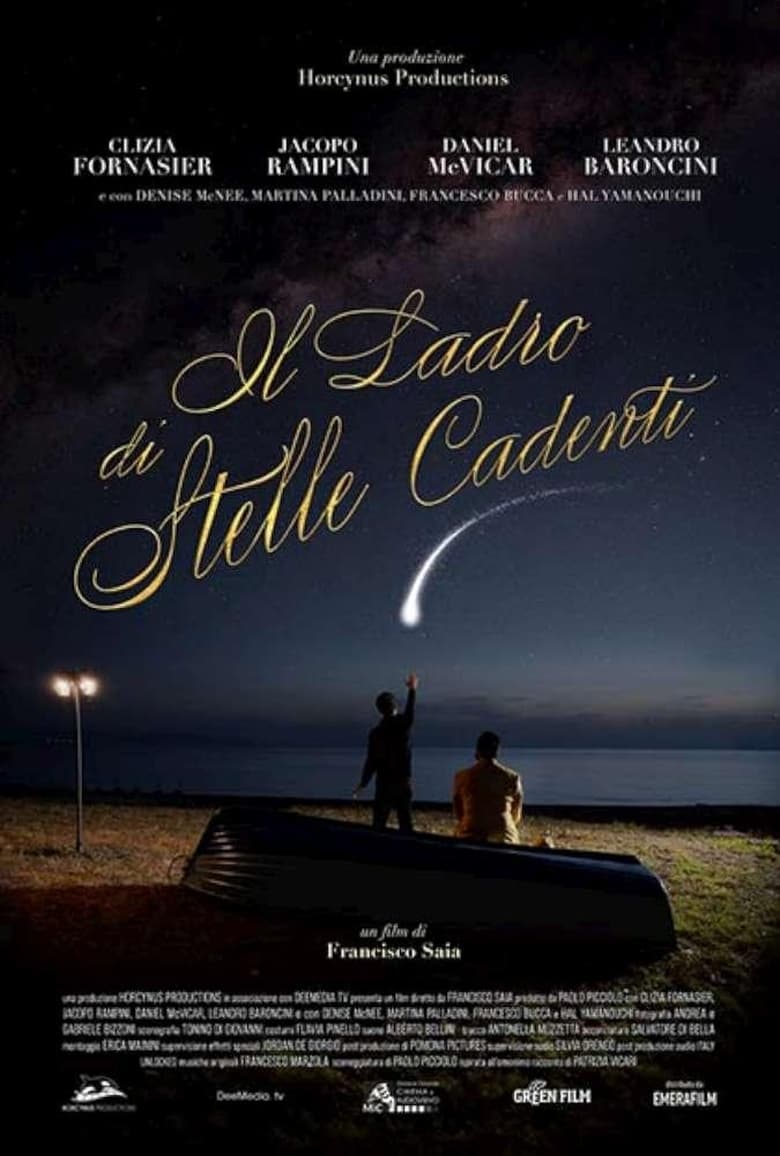 Poster of Il ladro di stelle cadenti