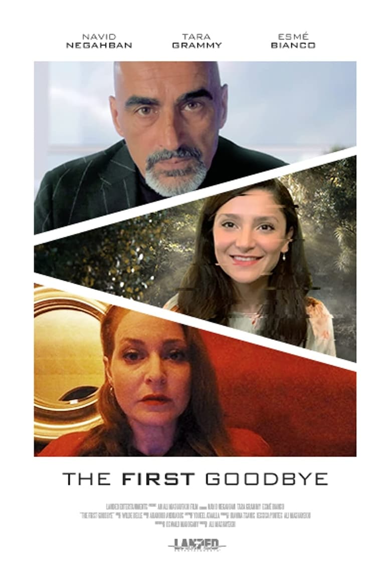 Poster of The First Goodbye