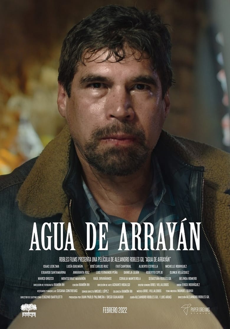 Poster of Agua de Arrayan