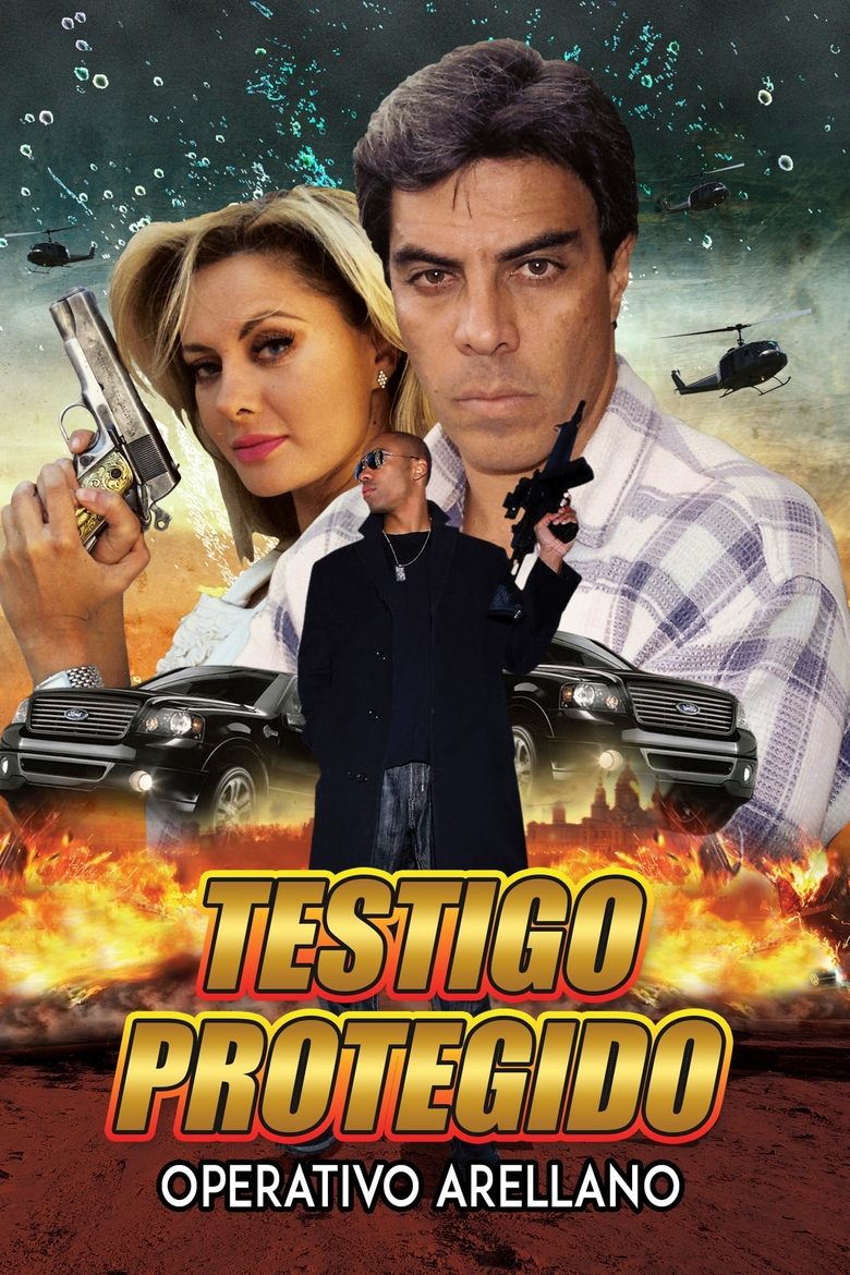 Poster of Testigo protegido