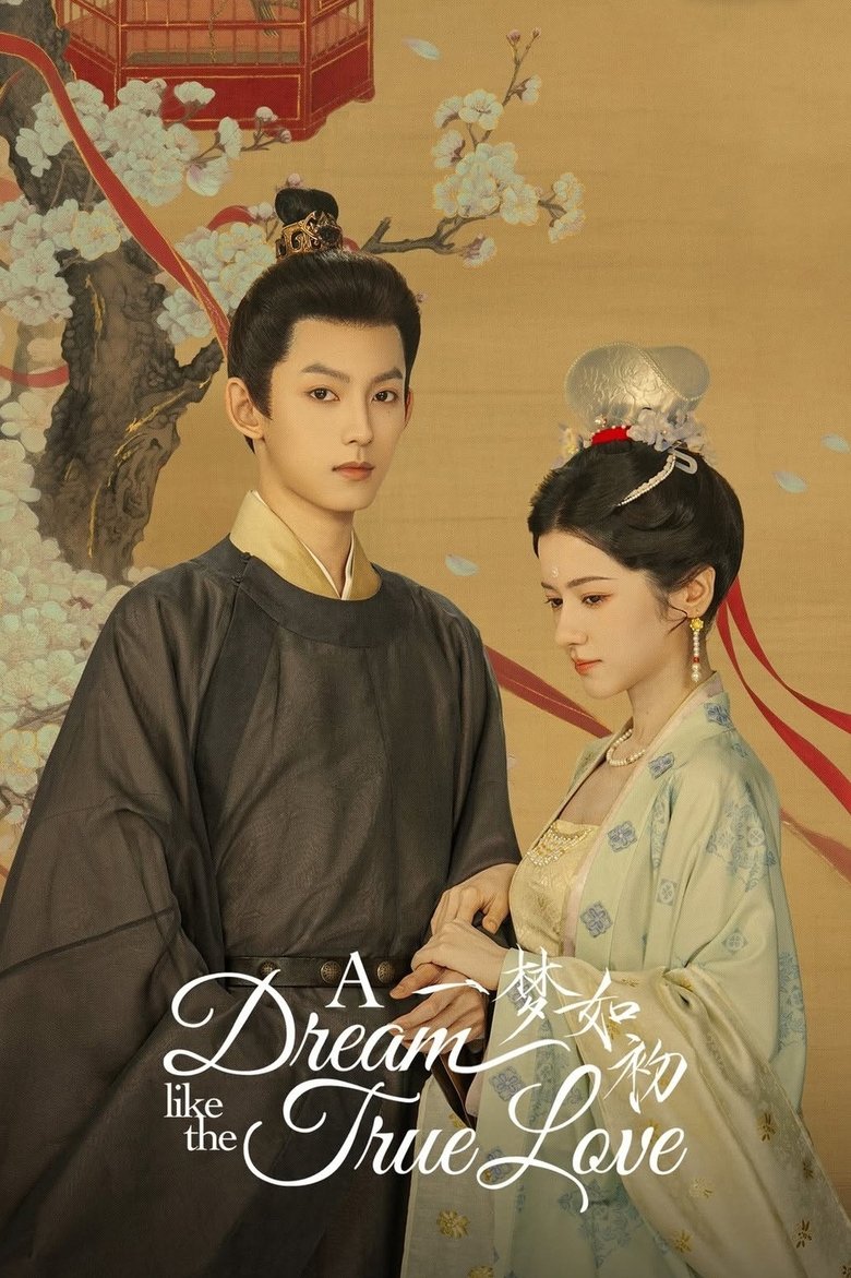 Poster of A Dream Like the True Love