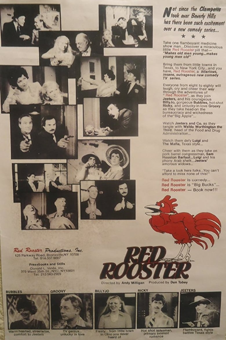 Poster of Adventures of Red Rooster