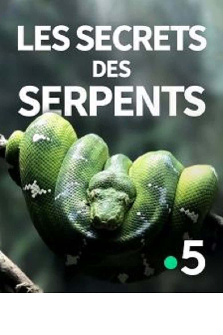 Poster of The Secrets of the Snakes