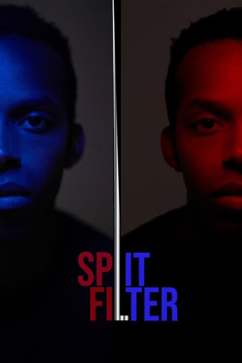 Poster of Split|Filter