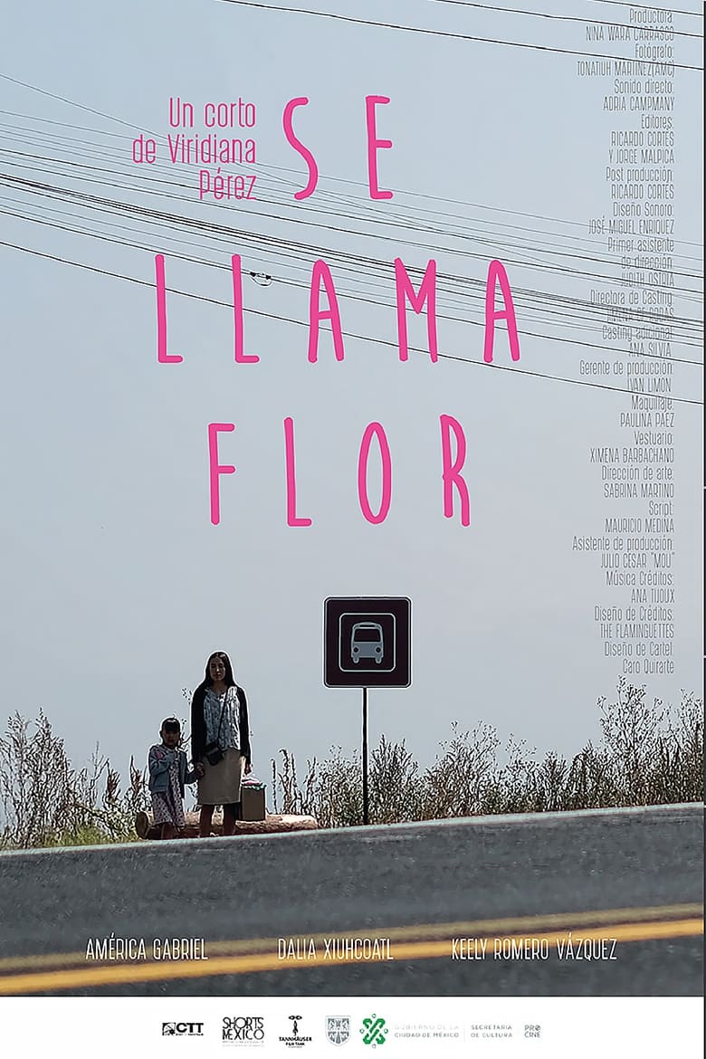 Poster of Her Name Is Flor