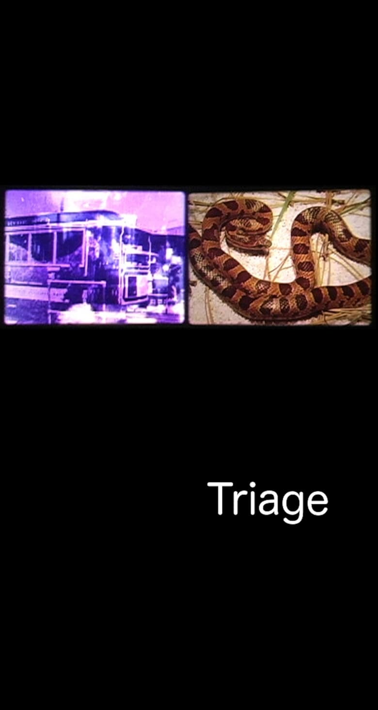 Poster of Triage