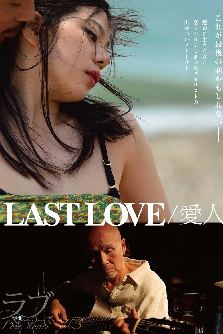 Poster of Last Love