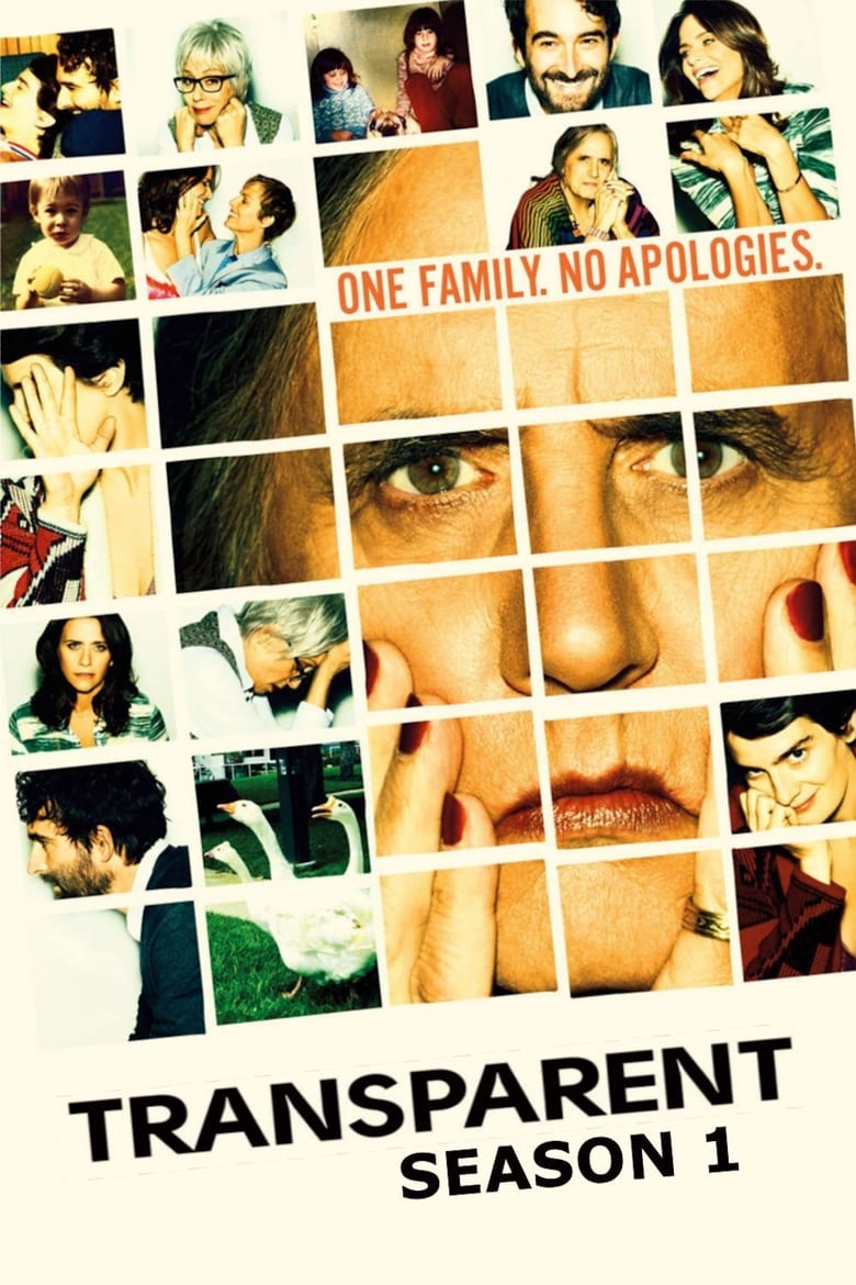 Poster of Episodes in Transparent - Season 1 - Season 1