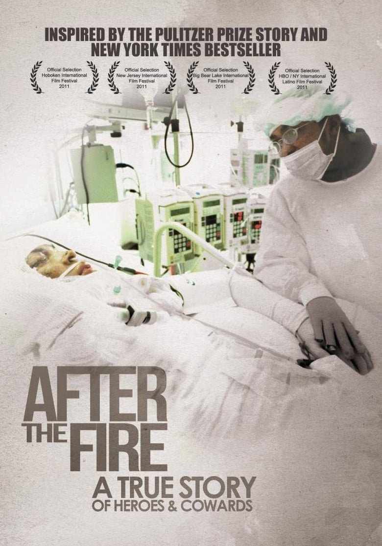 Poster of After the Fire