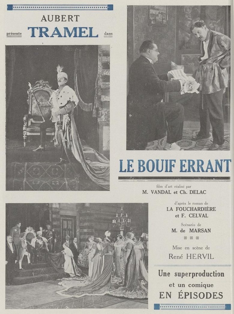 Poster of Le Bouif errant